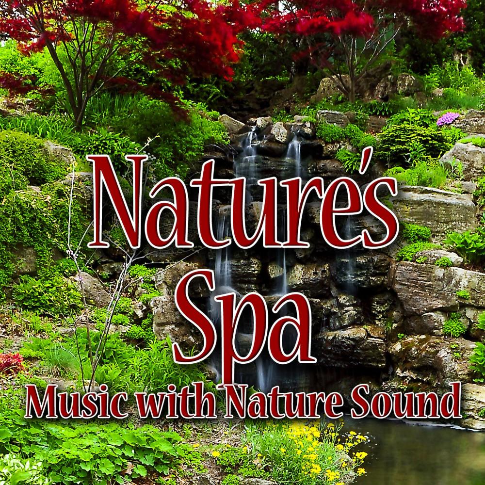 Closed Eyes: Quiet Musical Poem with Healing Ocean Water for Deeper Meditation
