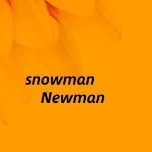 Album snowman from NEWMAN