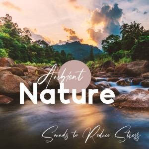 Album Ambient Nature Sounds to Reduce Stress (Anxiety Relief Mornings (Singing Birds and Meditation Music)) from The Flowing Mind