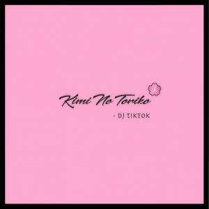 ดาวน์โหลดและฟังเพลง Kimi No Toriko พร้อมเนื้อเพลงจาก DJ TikTok