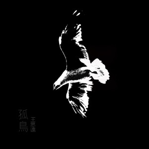 收聽王思遠的孤鳥 (完整版)歌詞歌曲