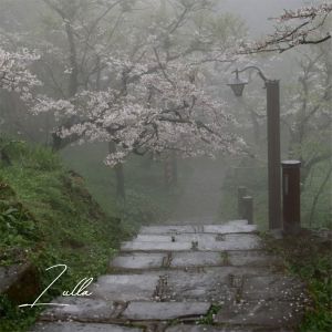 收聽Damien Jeunet的Lulla歌詞歌曲