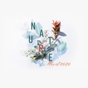 Dengarkan lagu Soft Sounds nyanyian Relaxing Nature Sounds Collection dengan lirik