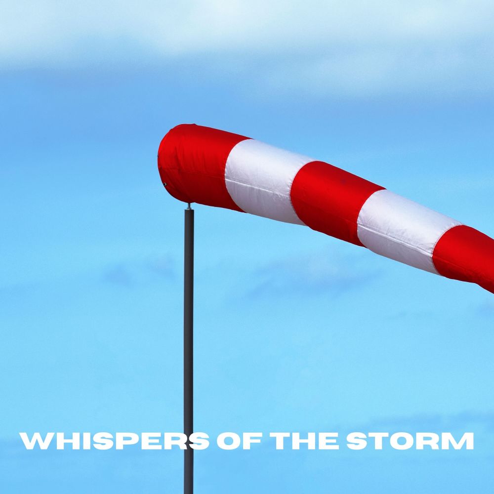Wanderer's Joy (Loopable, No Fade)