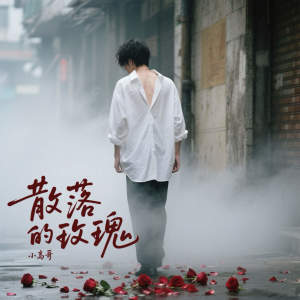 Album 散落的玫瑰 from 小高哥