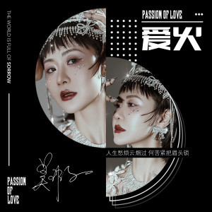 Album 爱火 from 吴瑕