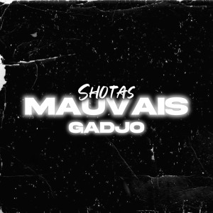 Shotas的專輯Mauvais gadjo