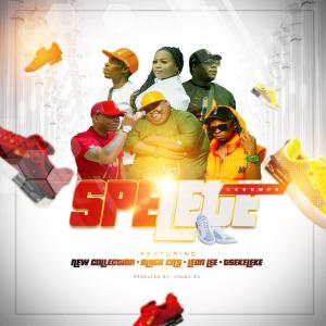 mjimaro的專輯Sepelete (feat. New collection, Leon Lee, Black Cat, Tsekeleke 012, Anuza sa & Mphoza)