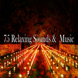 ดาวน์โหลดและฟังเพลง Wealth in Happiness พร้อมเนื้อเพลงจาก Massage Therapy Music