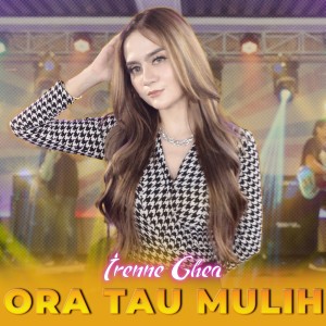 收聽Irenne Ghea的Ora Tau Mulih歌詞歌曲