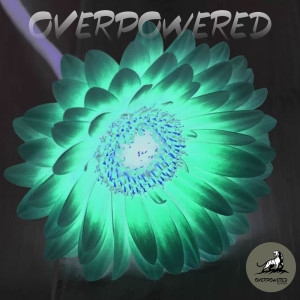 Various Artists的專輯Overpowered