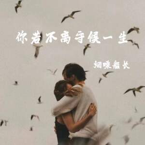 煙嗓船長的專輯你若不離 守候一生