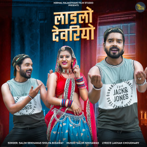 Album Ladlo Devriyo from Salim Sekhawas