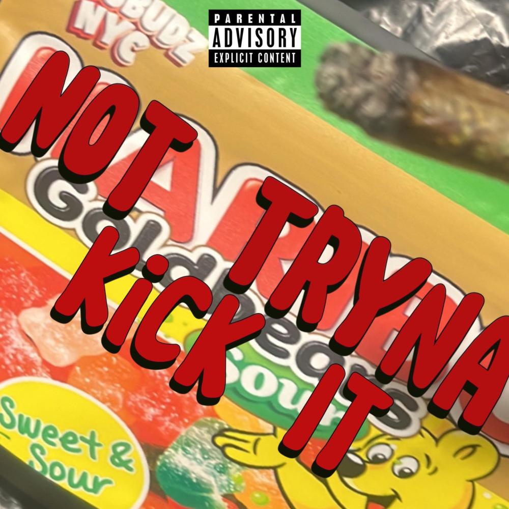 Not Tryna Kick It (feat. RockoutGee & RockoutP20) (Explicit)