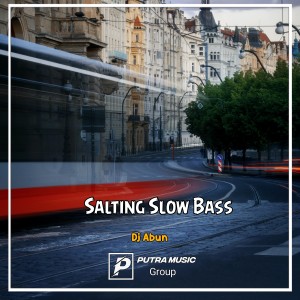 Album Salting Slow Bass (Remix) from Dj Abun