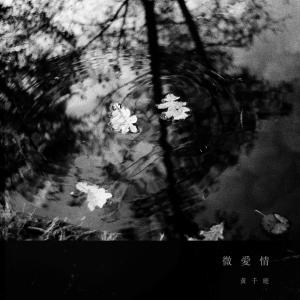 Album Wei Ai Qing from 黄千庭