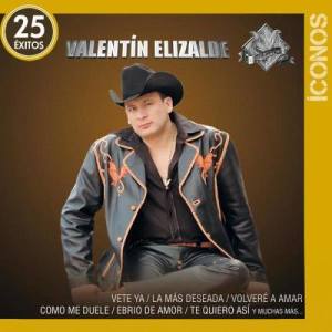 ดาวน์โหลดและฟังเพลง La Banda Borracha พร้อมเนื้อเพลงจาก Valentin Elizalde