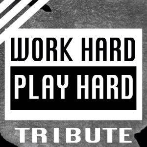 ดาวน์โหลดและฟังเพลง Work Hard, Play Hard พร้อมเนื้อเพลงจาก Pop Tracks