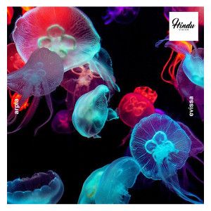 Listen to Eivissa (Radio Edit) song with lyrics from Arpia