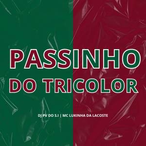 收聽DJ PV do SI的Passinho do Tricolor (Explicit)歌詞歌曲