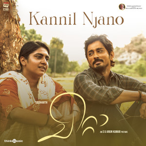 Chinmayi的專輯Kannil Njano (From "Chitta")