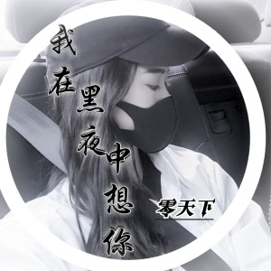 Listen to 我在黑夜中想你 song with lyrics from DJ零天下