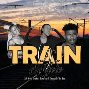 ดาวน์โหลดและฟังเพลง Train Ya Mojolo (feat. Zoli White Smoke & BoneFace) พร้อมเนื้อเพลงจาก Smeezyon The Beat