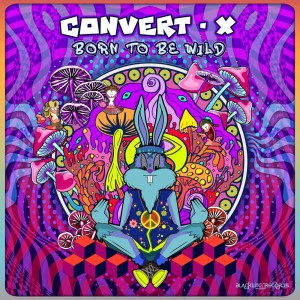Listen to World Party (Original Mix) song with lyrics from Convert-X