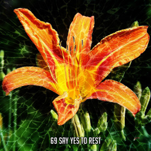 Album 69 Say Yes To Rest from Bedtime Baby