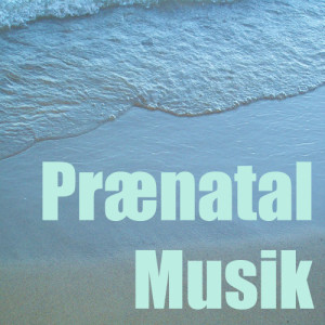 ดาวน์โหลดและฟังเพลง Prænatal Musik พร้อมเนื้อเพลงจาก Embryon