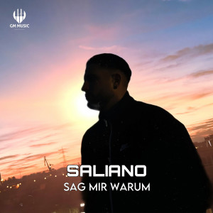 Listen to Sag Mir Warum song with lyrics from Saliano