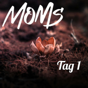 Listen to Tag 1 (Explicit) song with lyrics from Moms