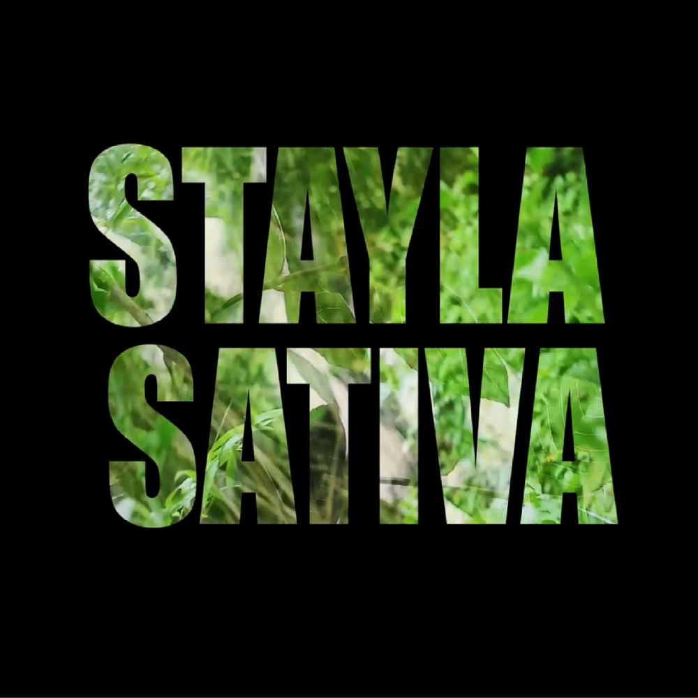 Stayla Sativa
