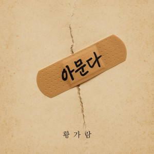 收聽Hwang Garam的아문다 (Inst.)歌詞歌曲