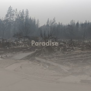 Dengarkan Paradise lagu dari The Chimes dengan lirik