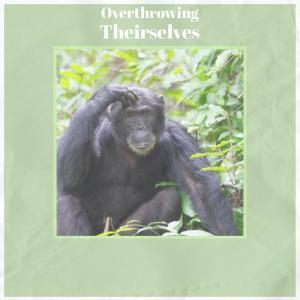 Various的专辑Overthrowing Theirselves