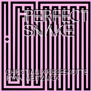 ดาวน์โหลดและฟังเพลง Perfect Snake: No. 6 พร้อมเนื้อเพลงจาก Christian Kriegeskotte