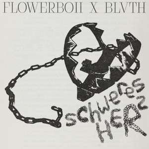 flowerboii的專輯Schweres Herz