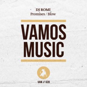 收听Dj Romi的Promises歌词歌曲