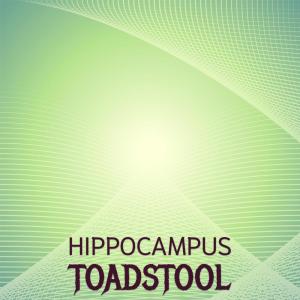 Album Hippocampus Toadstool oleh Various