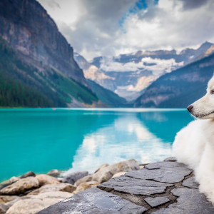 Listen to Smile For Me song with lyrics from Relaxing Music