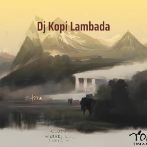 Dengarkan Nyaman Tak Cukup lagu dari DJ EDIS dengan lirik