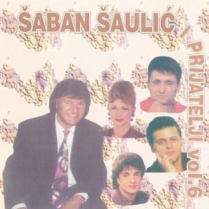 Listen to Gledaju nas zagrljene song with lyrics from Saban Saulic