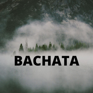 Listen to Traicionera song with lyrics from Luis Segura