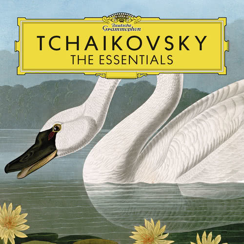 Tchaikovsky: The Nutcracker (Suite), Op. 71a, TH. 35 - IIb. Dance Of The Sugar-Plum Fairy