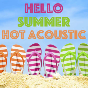 Album Hello Summer Hot Acoustic from Various Artists