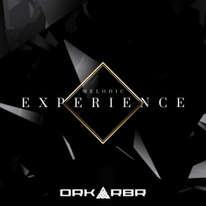 Listen to Melodic Experience song with lyrics from DRK RBR