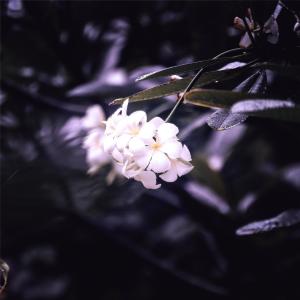 收聽Damien Jeunet的Rest Time歌詞歌曲