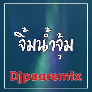 อัลบัม จิ้มน้ำจุ้ม ศิลปิน Djpaoremix