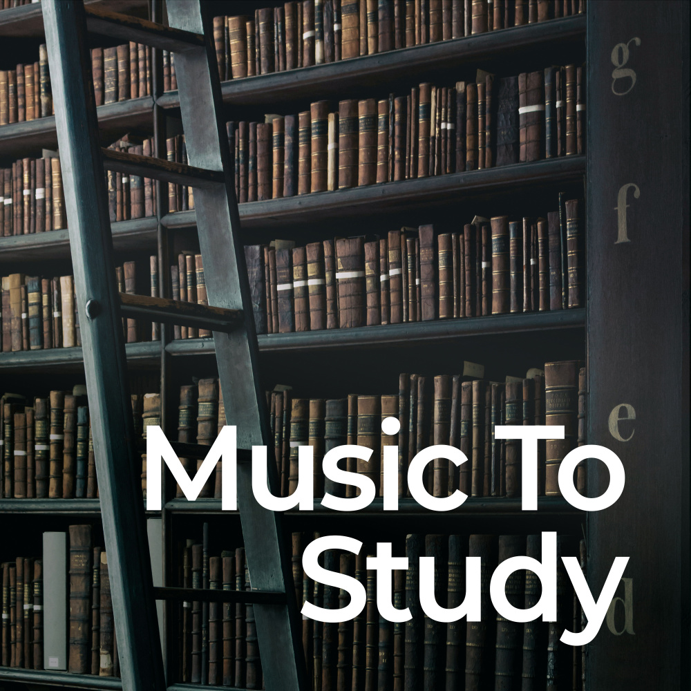 Relax and Focus with Study Beats